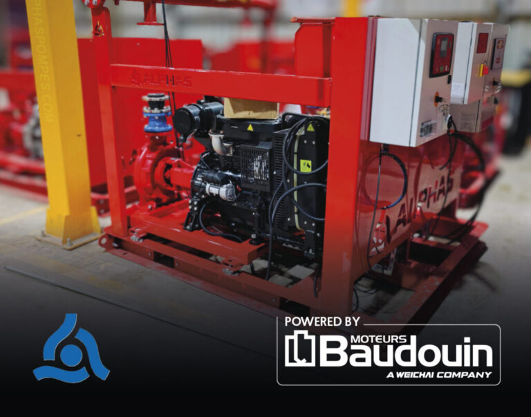 baudouin-3-1024x804