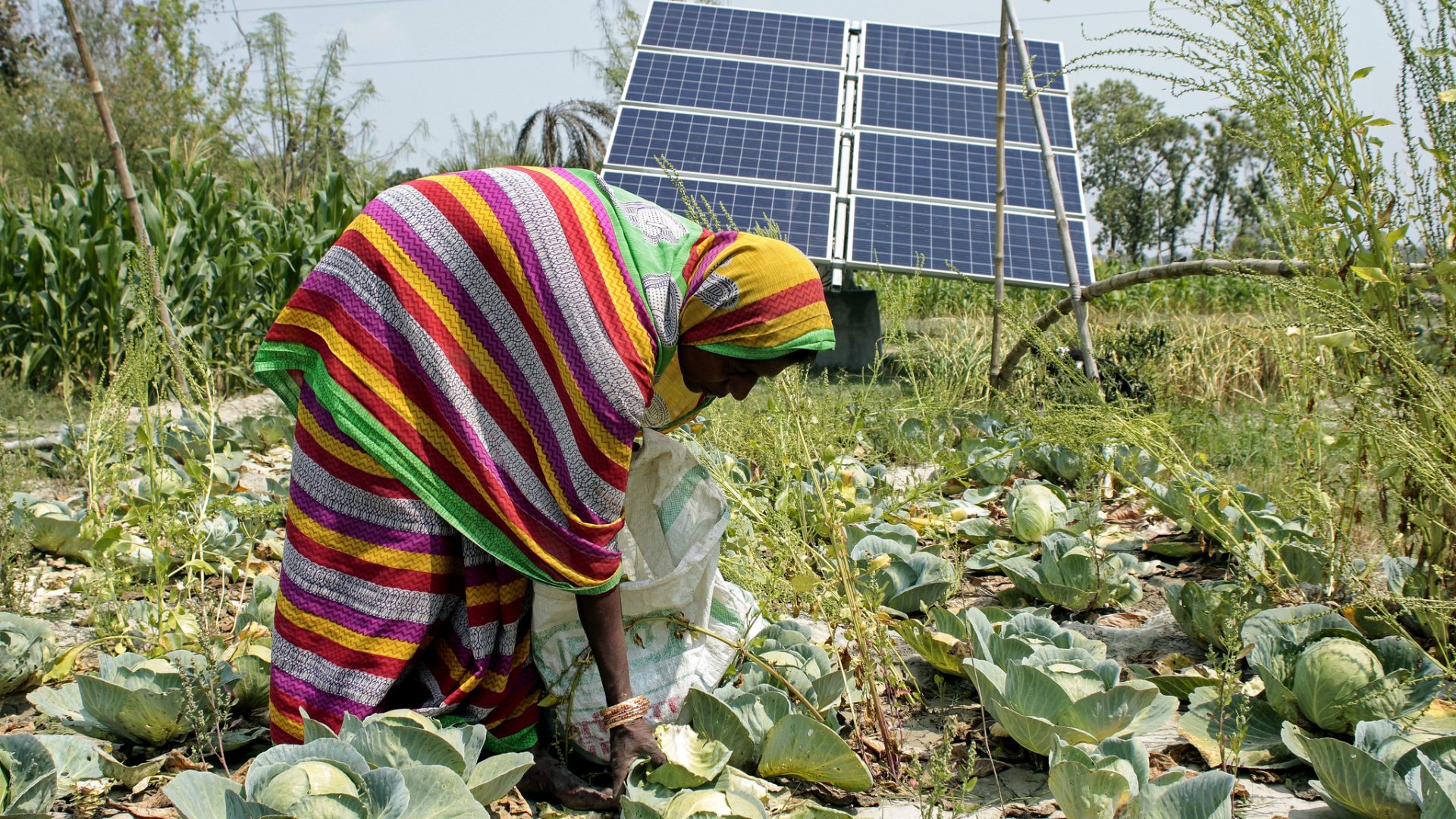 Feminist Electrification - the Power Africa Needs
