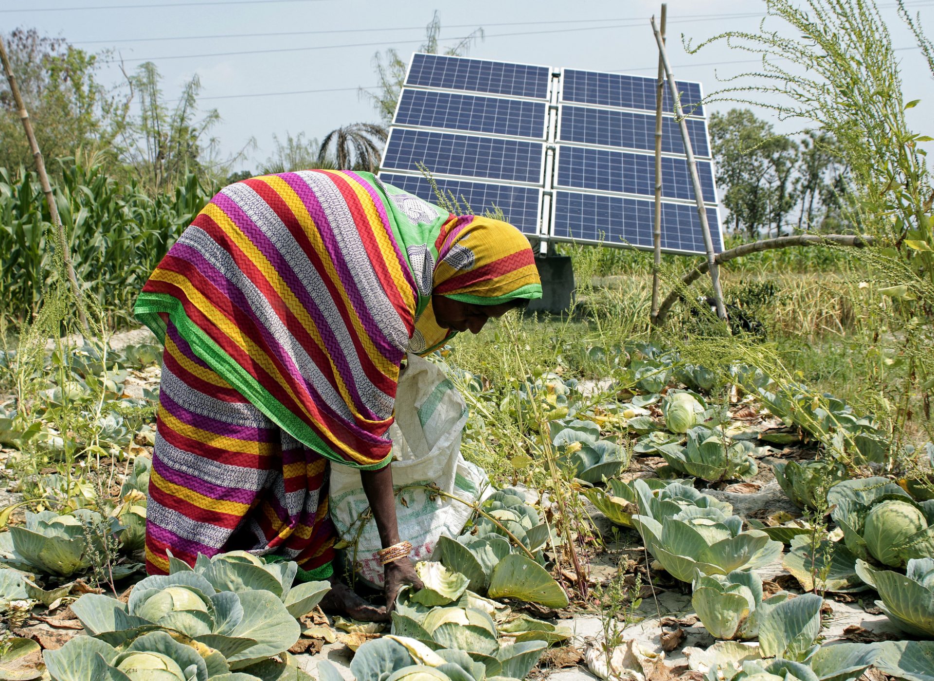 Feminist Electrification - the Power Africa Needs